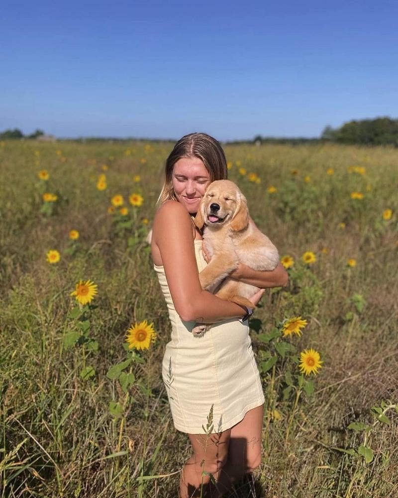 Golden retriever puppies for sale