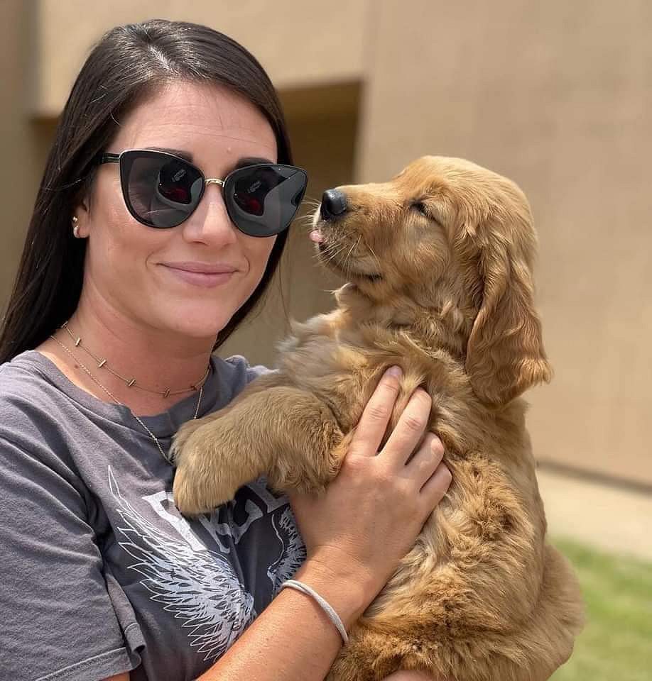 Golden retriever puppies for sale