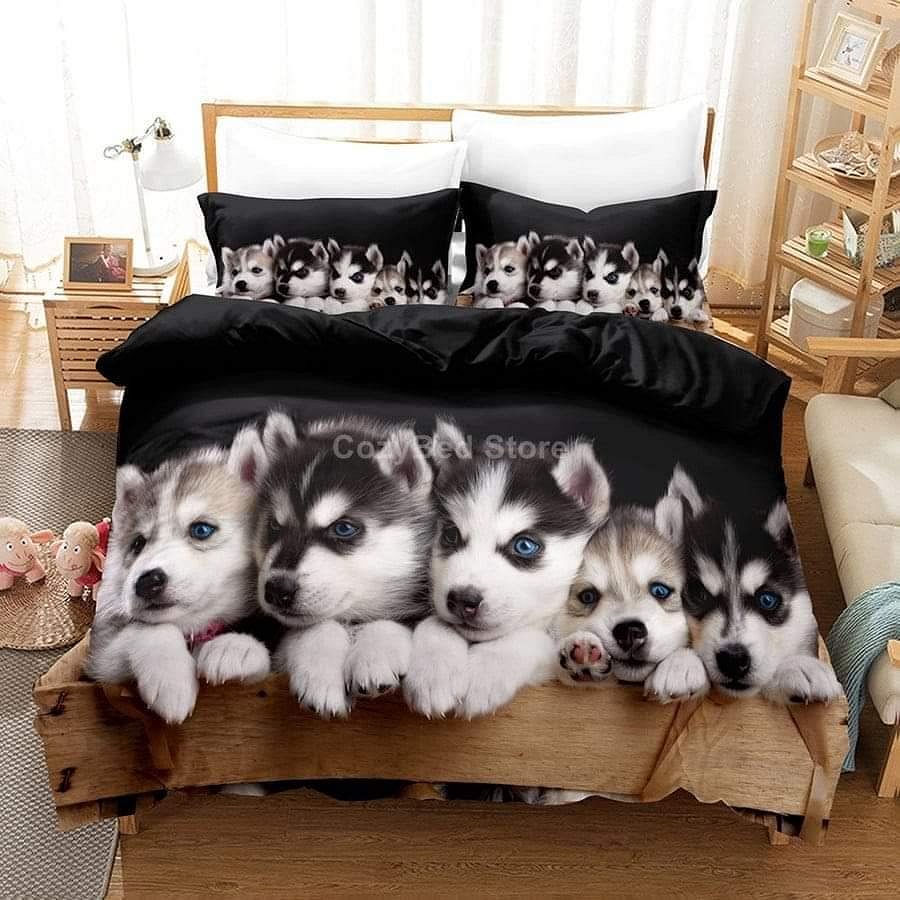 Husky puppies for sale