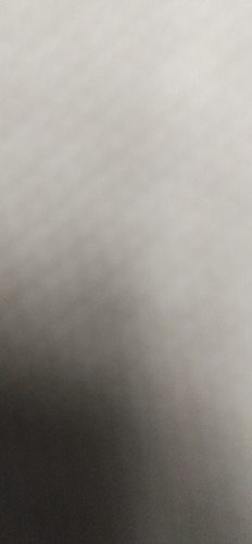 Jamnapyari female goat selling