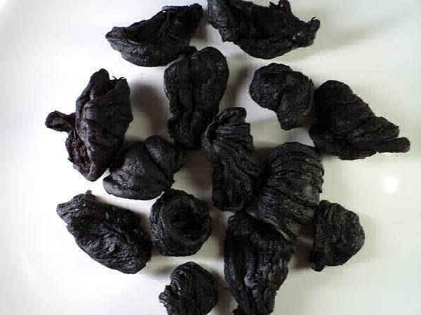 kudampuli