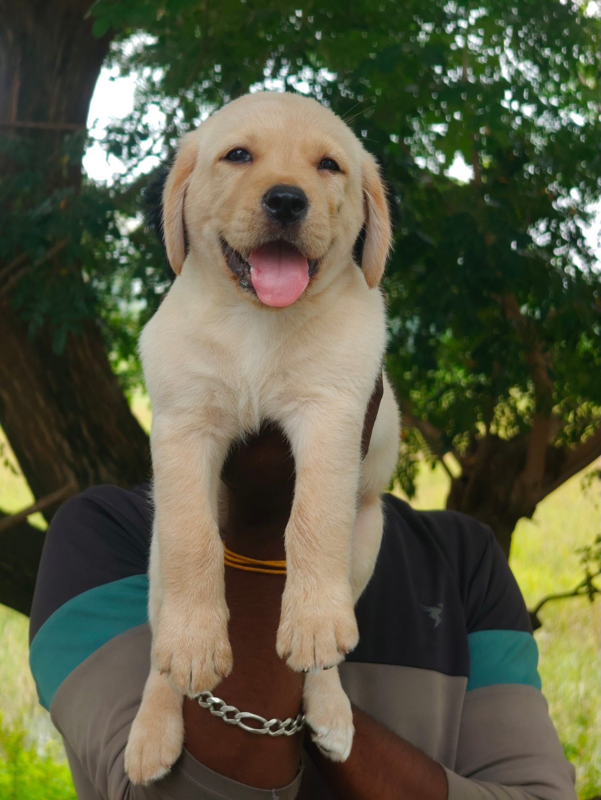 Lab