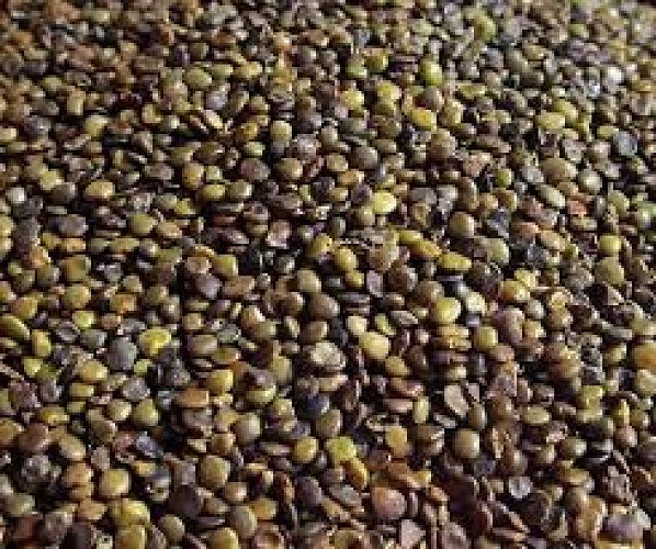 Licorice-Mulethi seeds