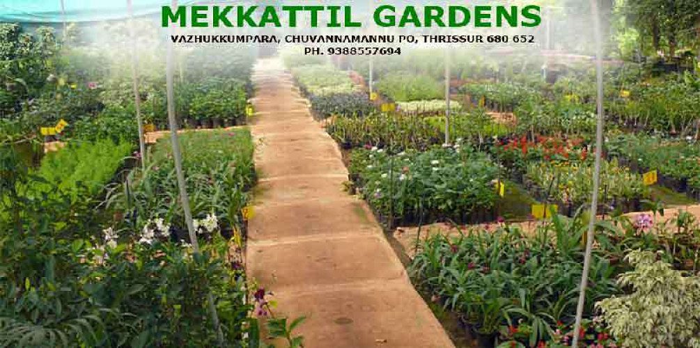 Mekkattil Gardens