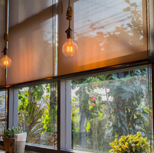 Mosquito Net For Windows