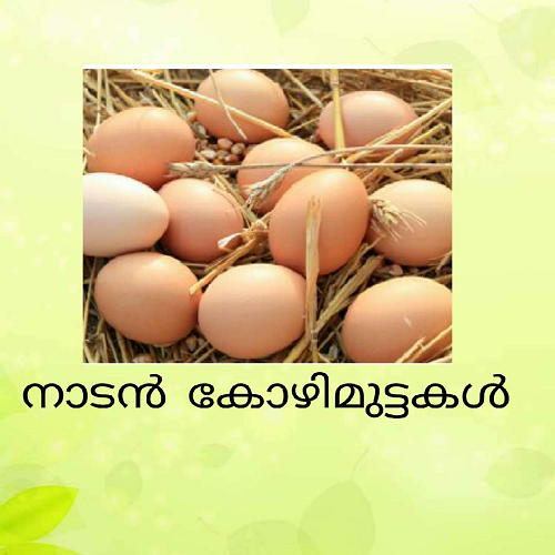 nadan egg for sale