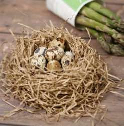 Nadan Kada Mutta for Sale