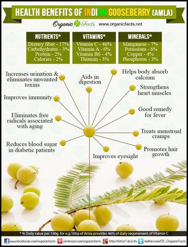 Organic Amla for sale