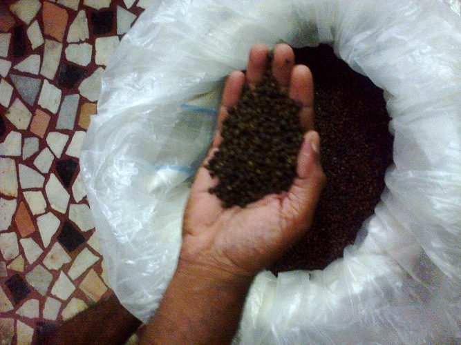 organic black pepper