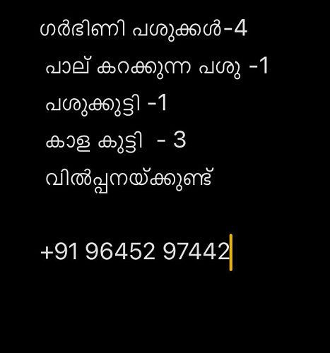 പശു വിൽപ്പനയ്ക്ക്