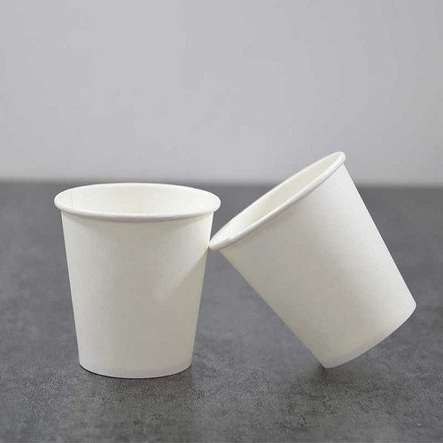 Paper Plate suppliers in Kannur