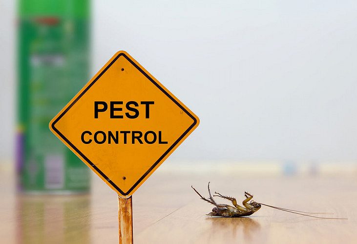 Pest Control Service