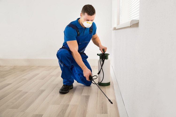 Pest Control Services in Mumbai, Maharashtra