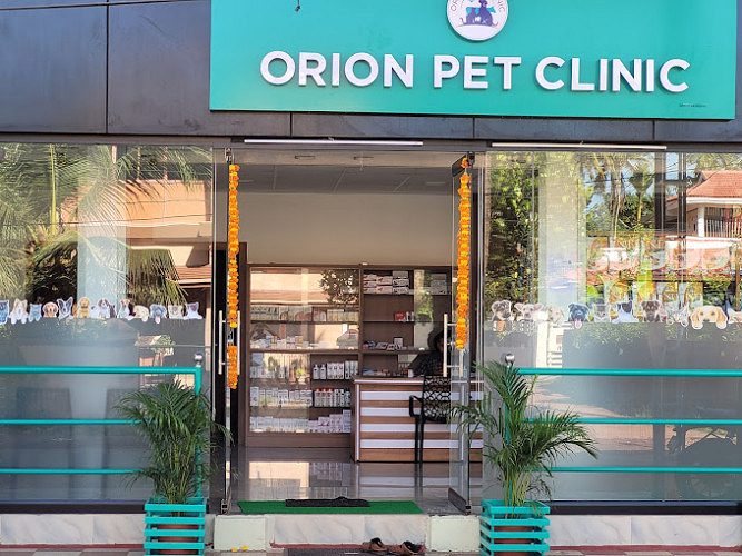 Best Pet Hospitals in Payyannur, Kannur