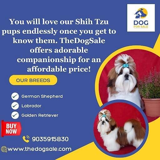 Puppies for sale in Bangalore