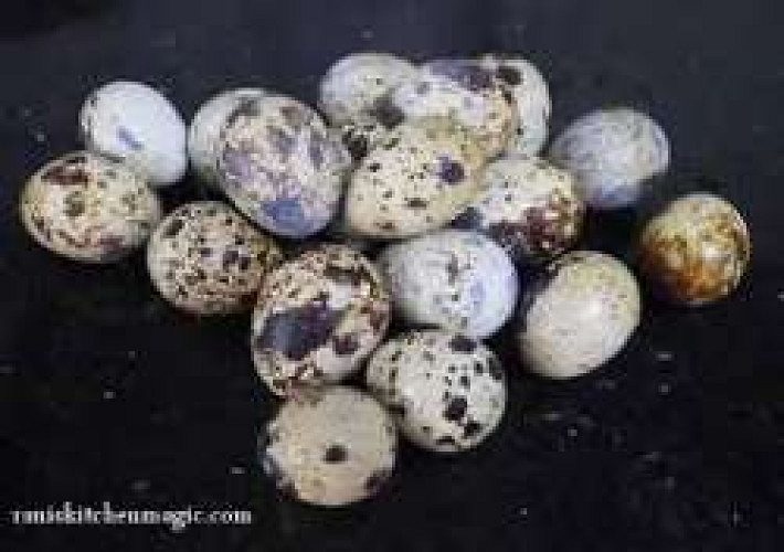 quail eggs(kada mutta)