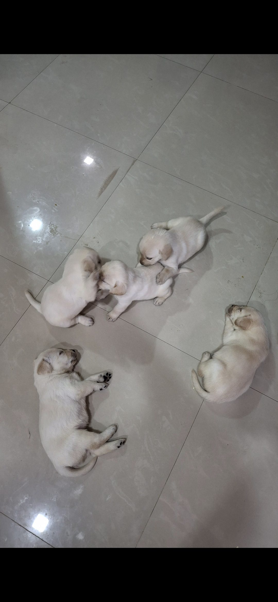 Ready to be a part of your family