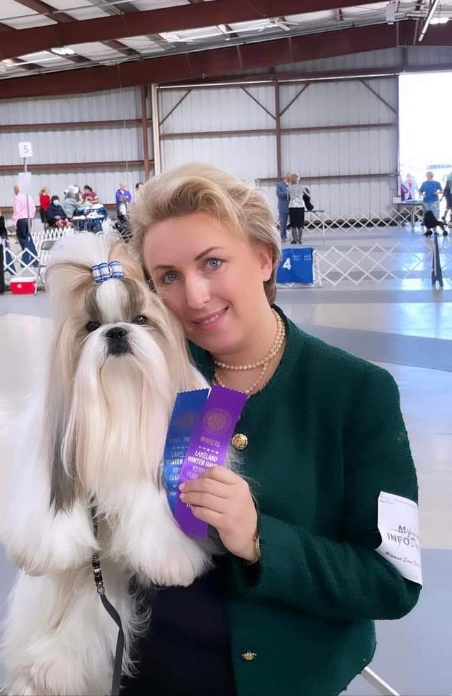 Shih Tzu puppies for sale