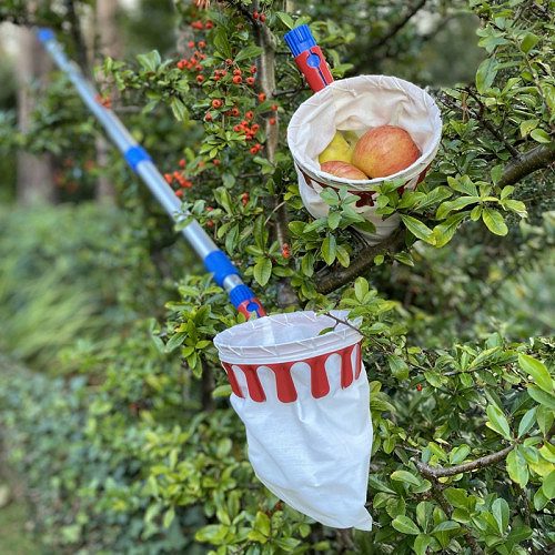 Telescopic Fruit Picker Suppliers in Mananthavady, Wayanad