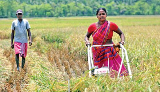 Agrimachinery on Subsidy in Iritty, Kannur