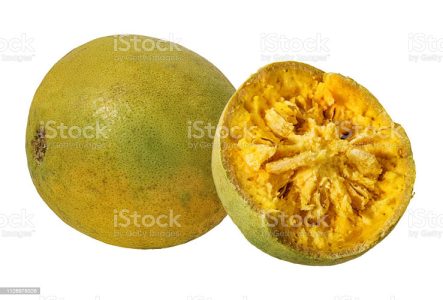 Bael Fruit