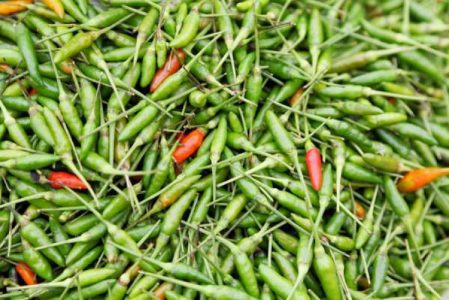 BIRD EYE CHILLI  (KANTHARI MULAKU)
