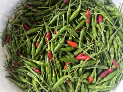 Bird eye chilly