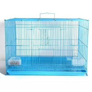 Buy Rabbit Cages Online in India at Best Price