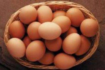 Bv 380 organic eggs for sale without any antibiotics hormone