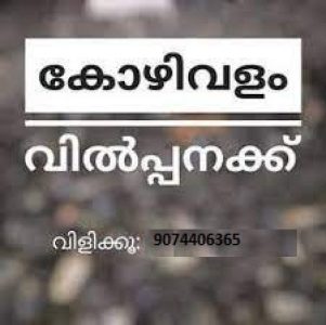 കോഴി വളം വില്പനക്ക്