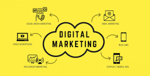 Best Digital Marketing Agency in Idukki- Kerala
