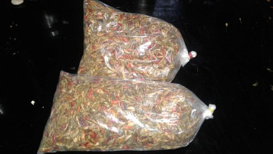 Dried kanthari mulaku 