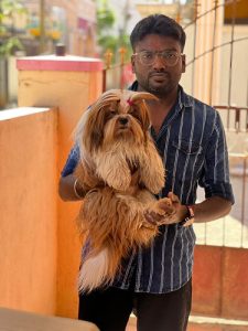 EXCELLENT QUALITY SHITZHU PUPPIES AVAILABLE WITH KCI