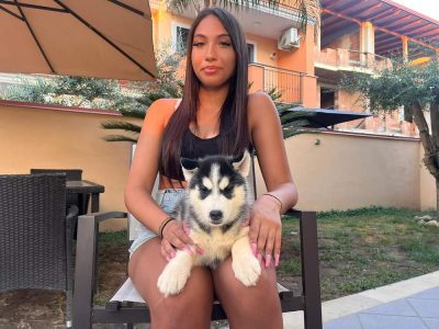 Husky puppies for sale in Bangalore
