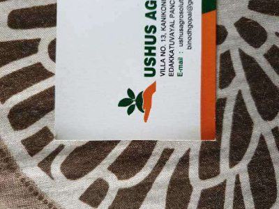 Hybrid & op vegetable seeds