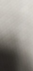 Jamnapyari female goat selling