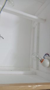 Kada egg and kada kunju for sale