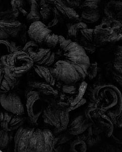 KUDAMPULI ( Garcinia cambogia )