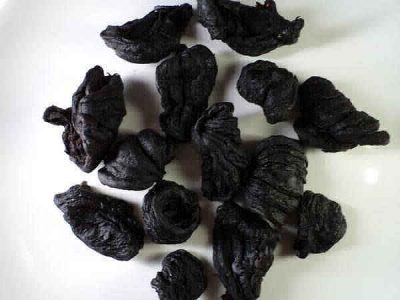 kudampuli