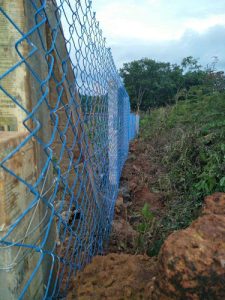 Marampilly, behind MES college