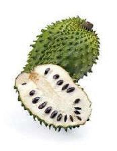 mullatha(soursop) seeds for sale