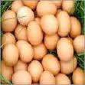 Naadan Kozhi Mutta Organic