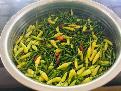 Nadan kanthari mulaku