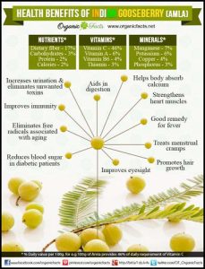 Organic Amla for sale