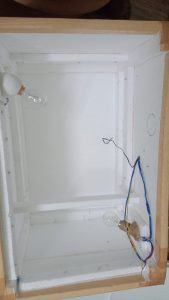 ??? ????? ????????????