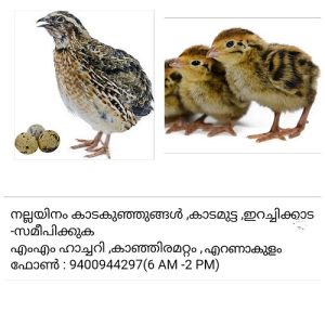 ??? ???? ?????? , ??? ?????,??? ???, ?????? ??? 