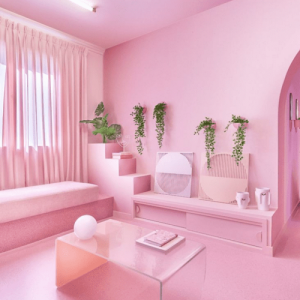 Painting Contractors in Dehradun, Uttarakhand