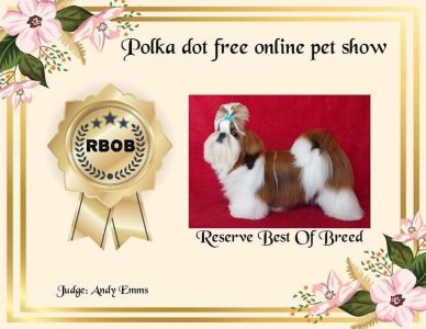 Puppies for sale in Bangalore