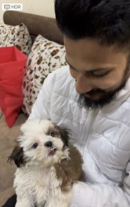 Shih Tzu