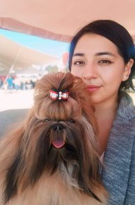 Shih Tzu puppies for sale in Mumbai